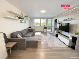 Prodej bytu 1+1, Přerov - Přerov I-Město, Tománkova, 40 m2