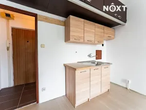 Prodej bytu 1+kk, Zábřeh, 28. října, 20 m2