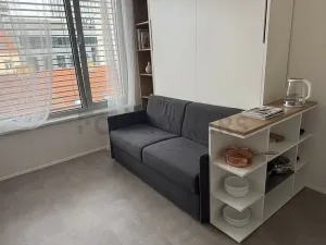 Pronájem bytu 1+kk, Praha, Plzeňská, 20 m2