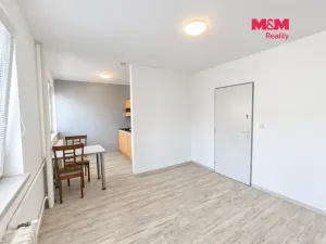 Pronájem bytu 1+kk, Hradec Králové, Sušilova, 32 m2