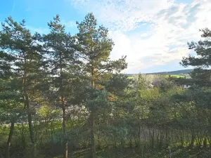 Prodej bytu 3+1, Ždánice, 76 m2