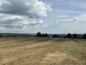 Prodej pozemku, Brno, Vejrostova, 2440 m2