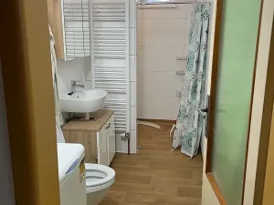 Pronájem rodinného domu, Medlovice, 100 m2