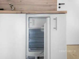 Pronájem bytu 1+kk, Praha - Nusle, Sezimova, 31 m2