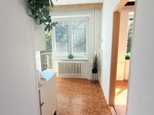 Prodej bytu 1+1, Brno - Lesná, Nejedlého, 38 m2