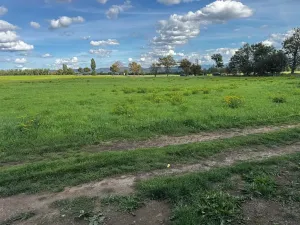 Prodej zahrady, Krupka, 366 m2