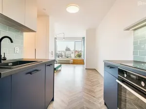 Pronájem bytu 1+kk, Brno, Vlhká, 36 m2