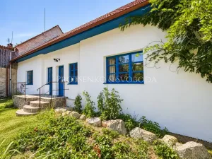 Prodej ubytování, Lhenice, 300 m2