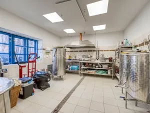 Prodej ubytování, Lhenice, 300 m2