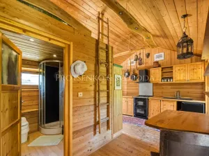 Prodej zemědělské usedlosti, Lhenice, 300 m2