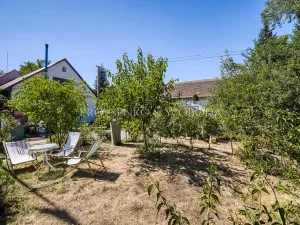 Prodej zemědělské usedlosti, Lhenice, 300 m2