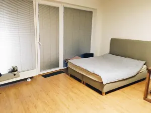 Pronájem bytu 1+kk, Praha - Dejvice, Lindleyova, 42 m2