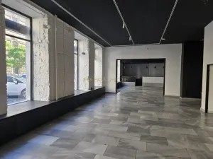 Pronájem obchodního prostoru, Brno - Brno-město, Dvořákova, 165 m2