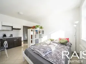 Prodej bytu 1+kk, Brno, 29 m2
