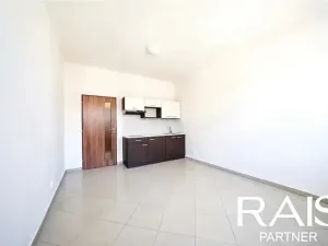 Prodej bytu 1+kk, Brno, 29 m2