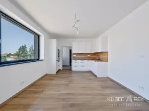 Prodej bytu 1+kk, Veselí nad Lužnicí, Budějovická, 40 m2