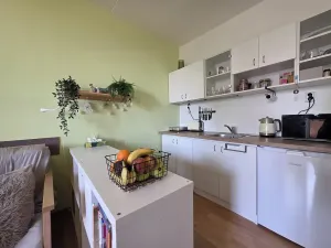 Pronájem bytu 1+kk, Brno, Opálkova, 26 m2