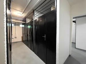 Pronájem bytu 1+kk, Brno, Opálkova, 26 m2