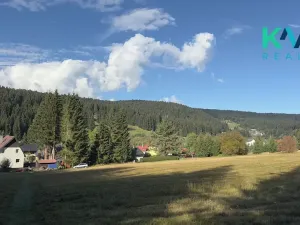 Prodej louky, Pernink, 25316 m2