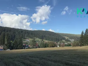 Prodej louky, Pernink, 25316 m2