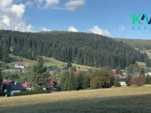 Prodej louky, Pernink, 25316 m2