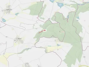 Dražba lesa, Jaroměřice nad Rokytnou, 579 m2