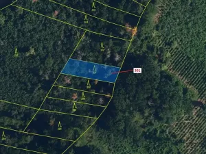 Dražba lesa, Jaroměřice nad Rokytnou, 579 m2