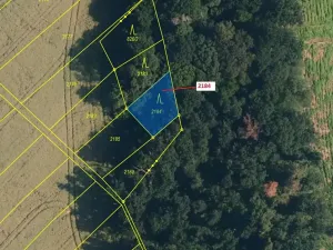 Dražba lesa, Březník, 291 m2