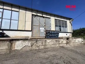 Pronájem skladu, Ústí nad Labem, Havířská, 17 m2