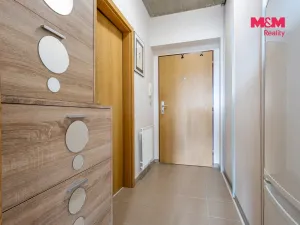 Prodej bytu 1+kk, Brandýs nad Labem-Stará Boleslav - Brandýs nad Labem, Vrábská, 30 m2