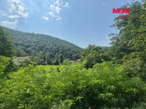 Prodej chaty, Nezabudice, 56 m2