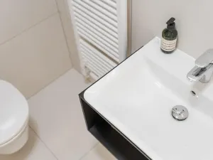 Prodej bytu 1+kk, Praha - Vršovice, Krymská, 27 m2