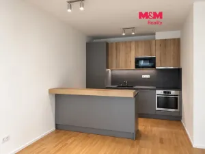 Pronájem bytu 3+kk, Praha - Žižkov, U Viktorie, 70 m2