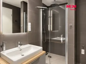 Pronájem bytu 3+kk, Praha - Žižkov, U Viktorie, 70 m2