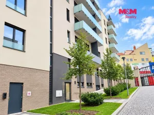 Pronájem bytu 3+kk, Praha - Žižkov, U Viktorie, 70 m2