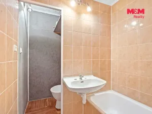Prodej bytu 1+kk, Ústí nad Labem - Krásné Březno, U Pivovarské zahrady, 31 m2