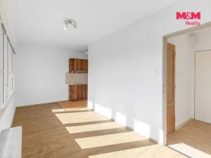 Prodej bytu 1+kk, Frýdek-Místek - Místek, Janáčkova, 21 m2