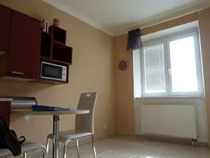 Pronájem bytu 1+1, Brno, Slatinská, 48 m2