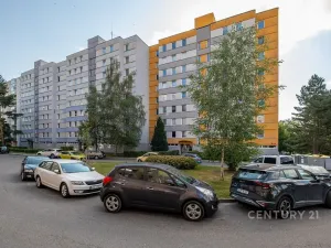 Prodej bytu 3+1, České Budějovice - České Budějovice 2, Netolická, 67 m2