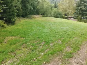 Prodej chalupy, Strážné, 200 m2