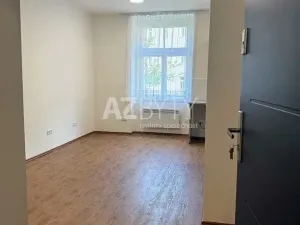 Pronájem bytu 1+kk, Praha - Bubeneč, Jaselská, 29 m2