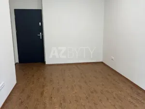 Pronájem bytu 1+kk, Praha - Bubeneč, Jaselská, 29 m2