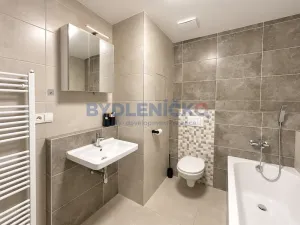 Prodej bytu 1+kk, České Budějovice, Nová, 38 m2