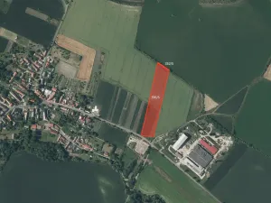 Prodej pole, Děčany, 8172 m2