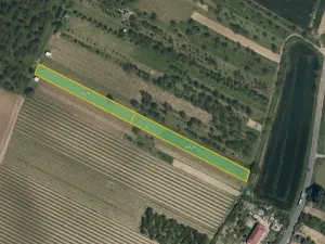 Prodej sadu/vinice, Svatobořice-Mistřín, 5062 m2