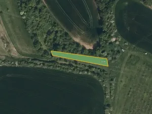 Prodej sadu/vinice, Svatobořice-Mistřín, 5062 m2