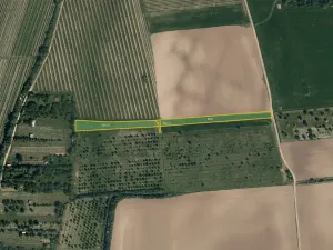 Prodej sadu/vinice, Kostelec, 3982 m2