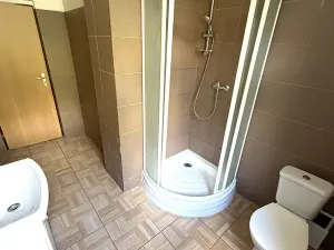Pronájem bytu 2+kk, Plzeň, Úslavská, 50 m2