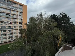 Pronájem bytu 3+1, Kutná Hora, Masarykova, 66 m2