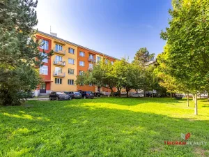Prodej bytu 3+1, Hradec Králové - Pražské Předměstí, Haškova, 74 m2